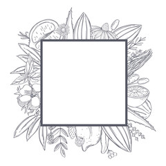 Botanical vector  frame with hand drawn  plants .