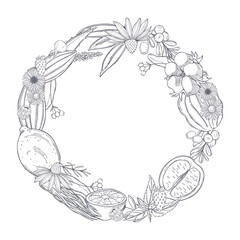  Organic cosmetics background. Plants for natural cosmetics. Vector sketch  illustration.