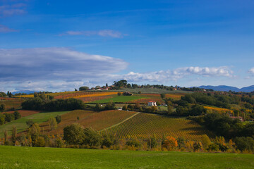 Fototapeta na wymiar Beautiful view of umbria hills in the autumn season with vineyards