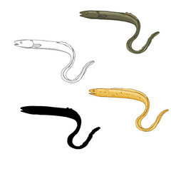 Fototapeta premium Vector Set of Eel Fish Illustrations