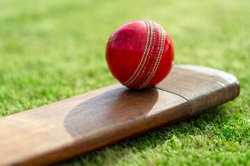 Cricket bat and ball on cricket pitch