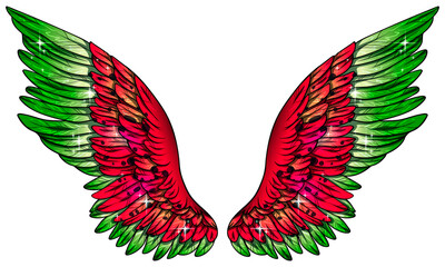Beautiful bright colorful magic wings colored as watermelon slice, vector