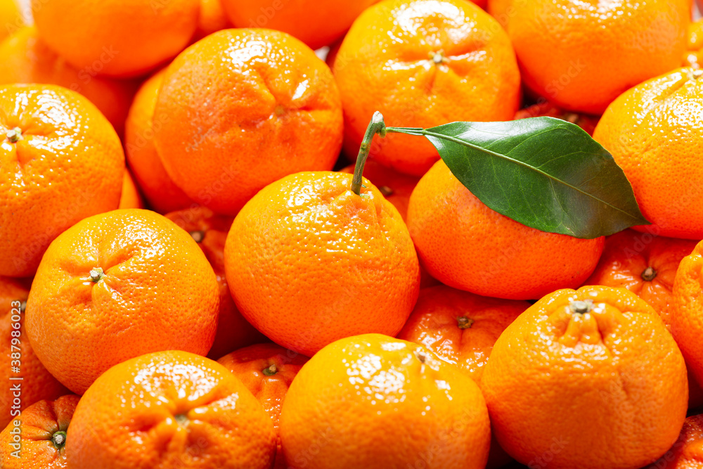 Wall mural mandarin oranges fruit or tangerines as background