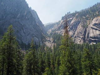 Beautiful Yosemite falls and the pine at Yosemite national park, National park in California, USA