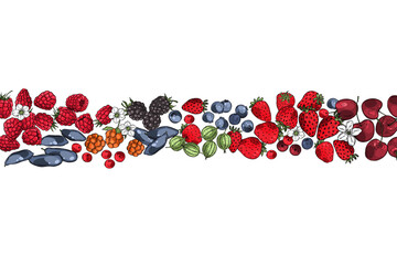 Hand drawn berries. Vector background.