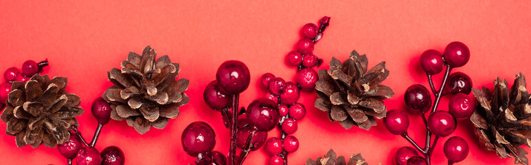 top view of cones and berries on red background, banner