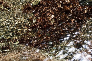 キラキラと輝く水面