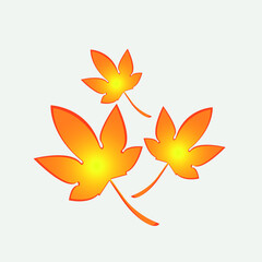 Autumn leaves isolated on white background.