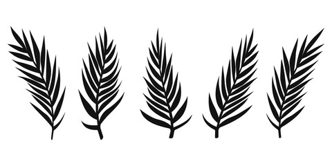 Set of palm leaves. Vector illustration.