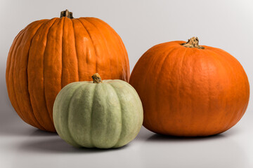 Orange and green pumpkins of fall harvest, studio shot