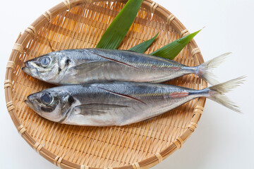 アジ
