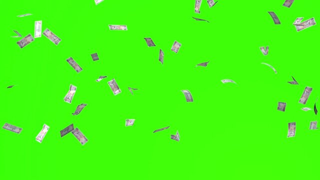 1000 dirhams bills Arab Emirates UAE money falling rain green screen chroma key animation 3d