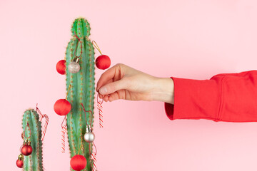 Cactus with hand of woman placing Christmas decoration. Copy space. © castellanos80