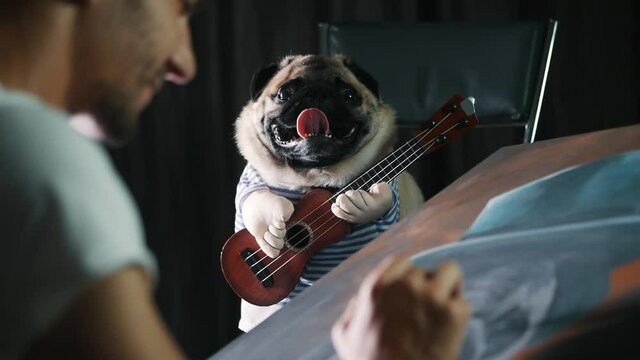 Funny pug dog posing for the artist in a suit with a guitar, a man painting a picture of a dog in close-up in slow motion