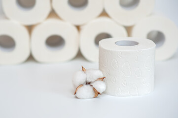 toilet paper and organic cotton on a neutral background