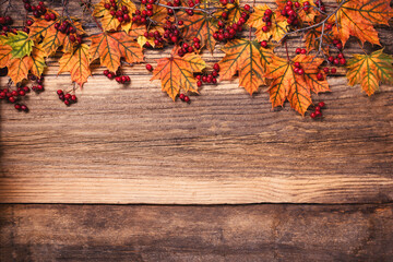 Naklejka na ściany i meble Autumn leaves with dogberry over a textured vintage rustic wooden background with copy space