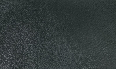 Green natural leather, close-up, isolated background for design