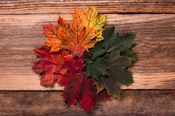 Naklejka na ściany i meble Creative colorful autumn leaves cosept over a textured vintage rustic wooden background