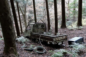 森に捨てられた軽トラ (不法投棄)