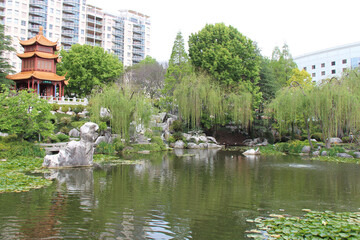 Fototapeta na wymiar chinese garden in sydney (australia)