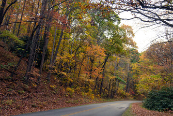 Autumn trees along mountain road curve 2