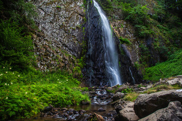 Auvergne 
