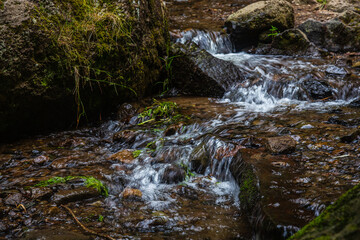 Auvergne 