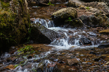 Auvergne 