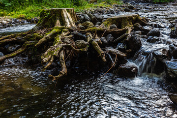 Auvergne 