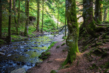 Obraz premium Auvergne 