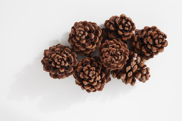 Top view of a group of a large pine cones isolated on white background 