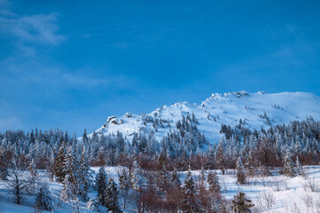 winter landscape in the mountains