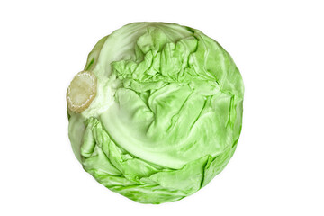 Fototapeta premium swing of pure green cabbage on a white background for salad.