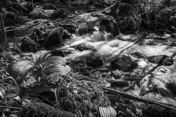 Kot Falls in Spring. Italy in Black and White © Nicola Simeoni