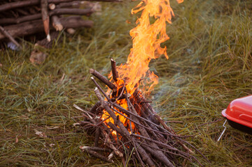 fire in the grass
