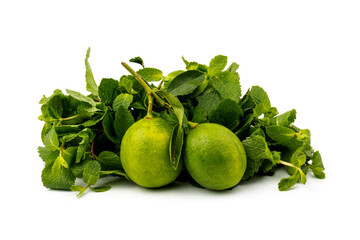 Lime with mint leaves isolated on white background.