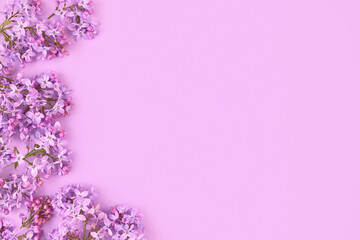 frame of branches and flowers of lilac on a pink background.blank for cards for spring, Easter, mother's day, women's day, Valentine's day. top view,