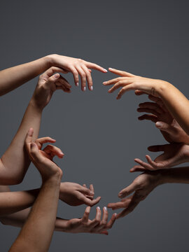 Rounded. Hands of people's crows in touch isolated on grey studio background. Concept of human relation, community, togetherness, symbolism. Light and weightless touching, creating one unit.
