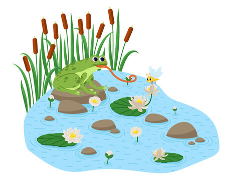 recommend clip art: Cartoon style frog seamless pattern. Happy frog sit.