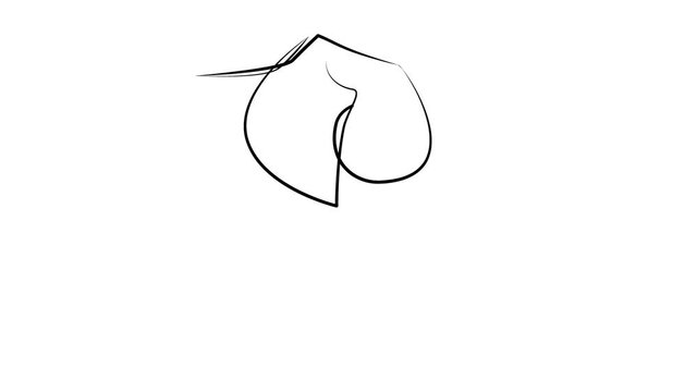 Elephant by one line. Animation with black line on white background