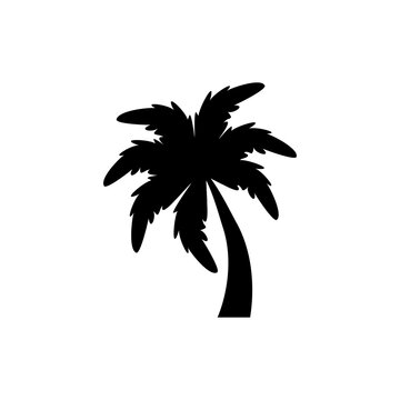 Coconut palm tree icon. Vector illustration isolated on white. Tropic palm black silhouette.