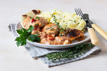 Chicken stew with sweet paprika and sour cream. Paprikash, traditional Hungarian dish. Balkanian cuisine. Autumn or winter comfort food. Selective focus.
