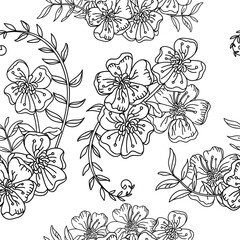 Seamless pattern vector contour flowers monochrome illustration
