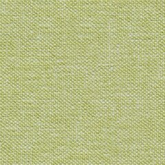 Fototapeta premium Lime-green tissue background for your new design.