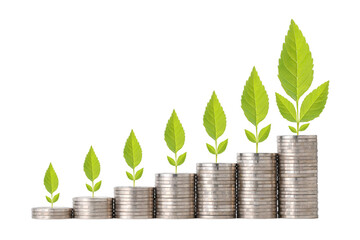 Business investment and saving growth for advertising concept. Plant growing on stacking coin on isolated and white background studio, meaning of growing or saving or earning money