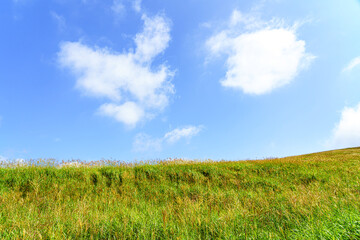 Fototapeta premium 【空イメージ】青空と白い雲 