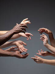 Talks. Hands of people's crows in touch isolated on grey studio background. Concept of human...