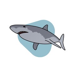 Illustration of Wild Shark Cartoon, Cute Funny Character, Flat Design
