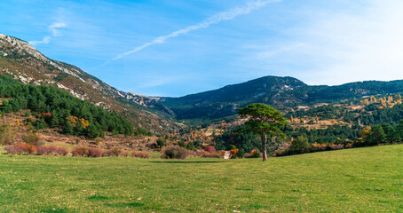 Fototapeta na wymiar Autumn landscape in Catalan Pyrenees. Odèn, Solsonès, Catalonia / Spain