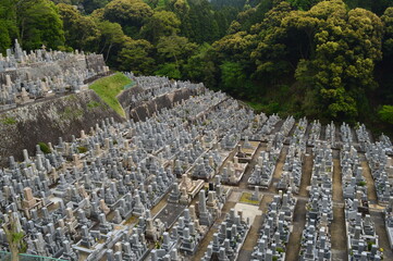 Exploring the temples and nature around Kyoto and Nara on Honshu island in Japan